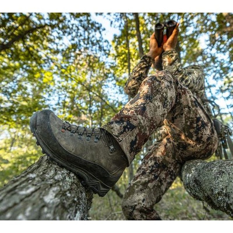 Brun vandringssko på gren i solig skog
