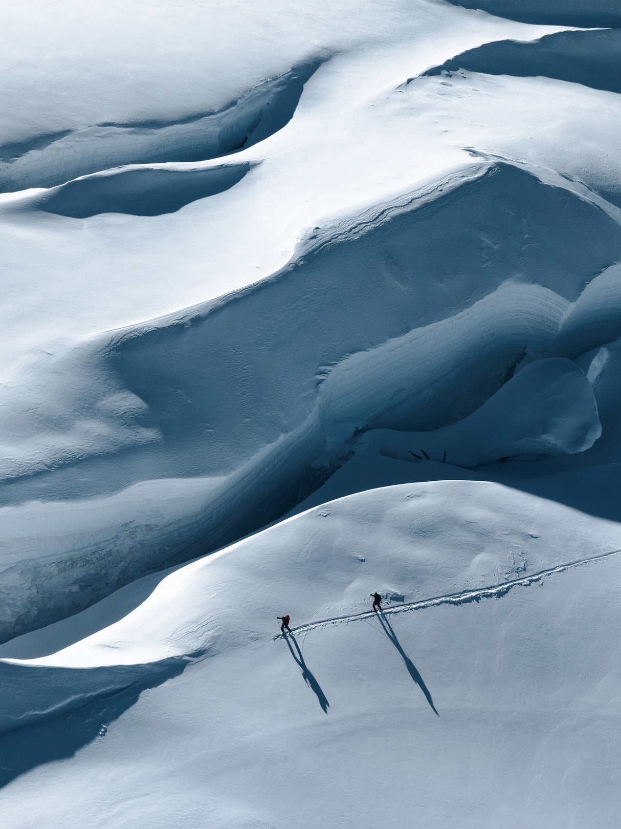 BLAZE 94 ROSE Skida Allmountain