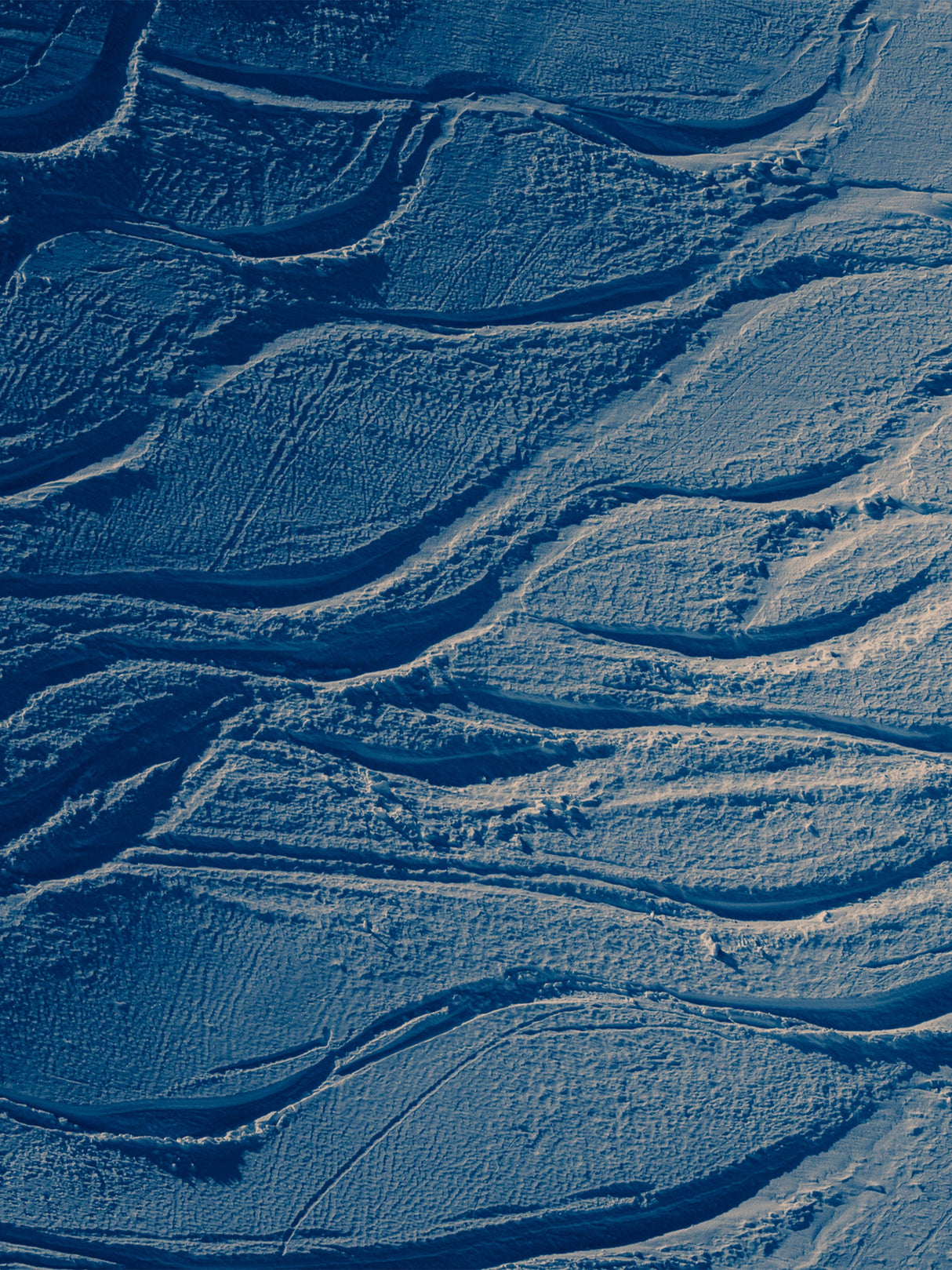 REVOLT 114 Skida Freeride