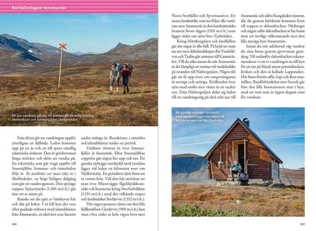 Fjällvandra längs Kungsleden