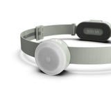 Silva Smini Pannlampa