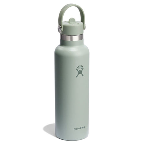 Ljusgrön mint Hydro Flask vattenflaska med bärhandtagslock och matt yta