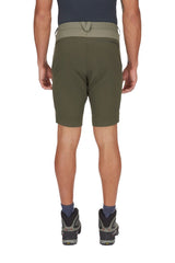 Torque Mountain Shorts Herr
